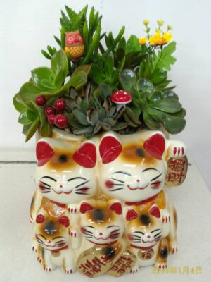 編號:E0009----大五福招財貓多肉盆景 20*28*38